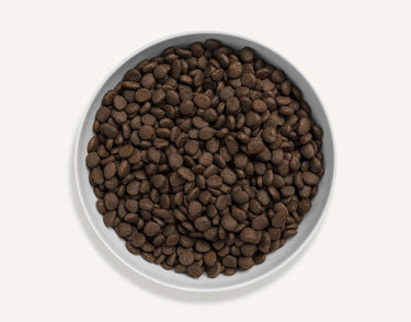 Canagan Scottish Salmon Dry Cat Food - 4KG